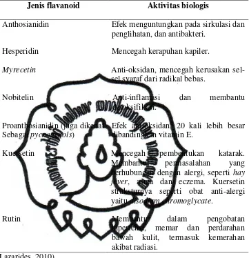 Tabel 2.2. Jenis Flavonoid dan Aktivitas Biologisnya 