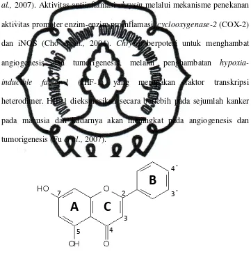 Gambar 2.2. Struktur Molekul Chrysin (diambil dari Harris et al., 2006) 