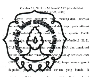 Gambar 2.1. Struktur Molekul CAPE (diambil dari 