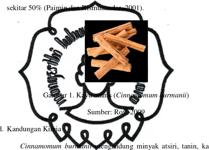Gambar 1. Kayu manis (Cinnamomum burmanii)  