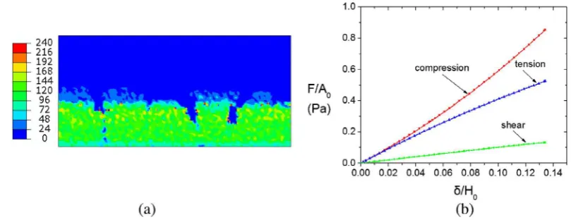 Fig. 2. (a) Young’s modulus proﬁles (values in Pa); (b) normalized force–displacement curves for bioﬁlm analyzed under compression, tension, and shear; A0 = B0L is the areaof the top surface of the bioﬁlm.