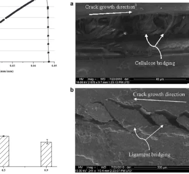 Fig. 9. Crack growth for moso culm bamboo. (a) SEM image of cellulose bridging inthe outside crack SENB sample