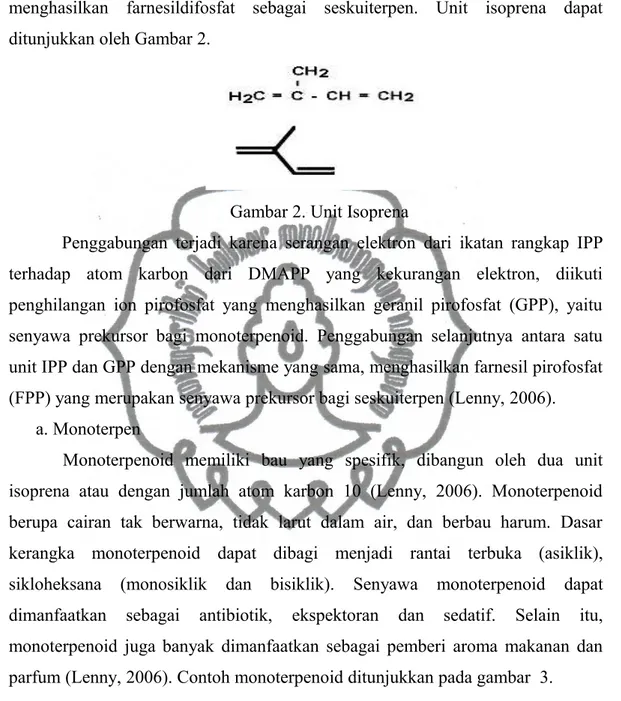 Gambar 2. Unit Isoprena