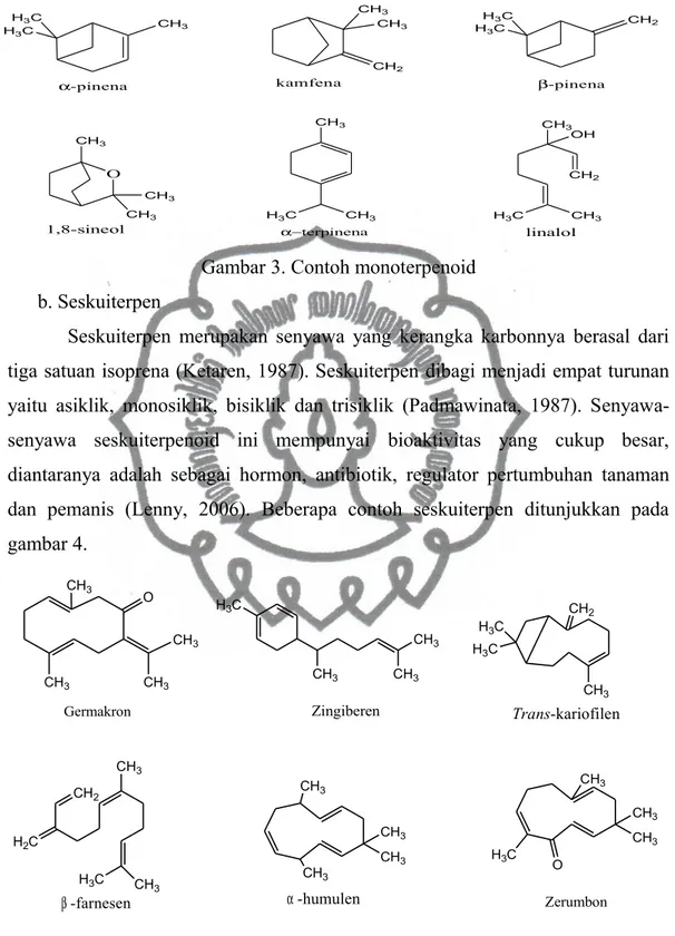 Gambar 3. Contoh monoterpenoid b. Seskuiterpen