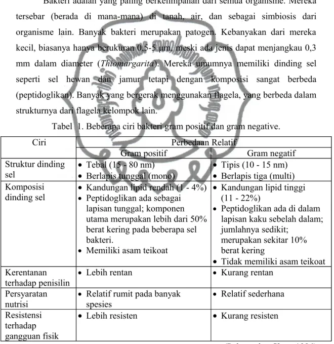 Tabel  1. Beberapa ciri bakteri gram positif dan gram negative.