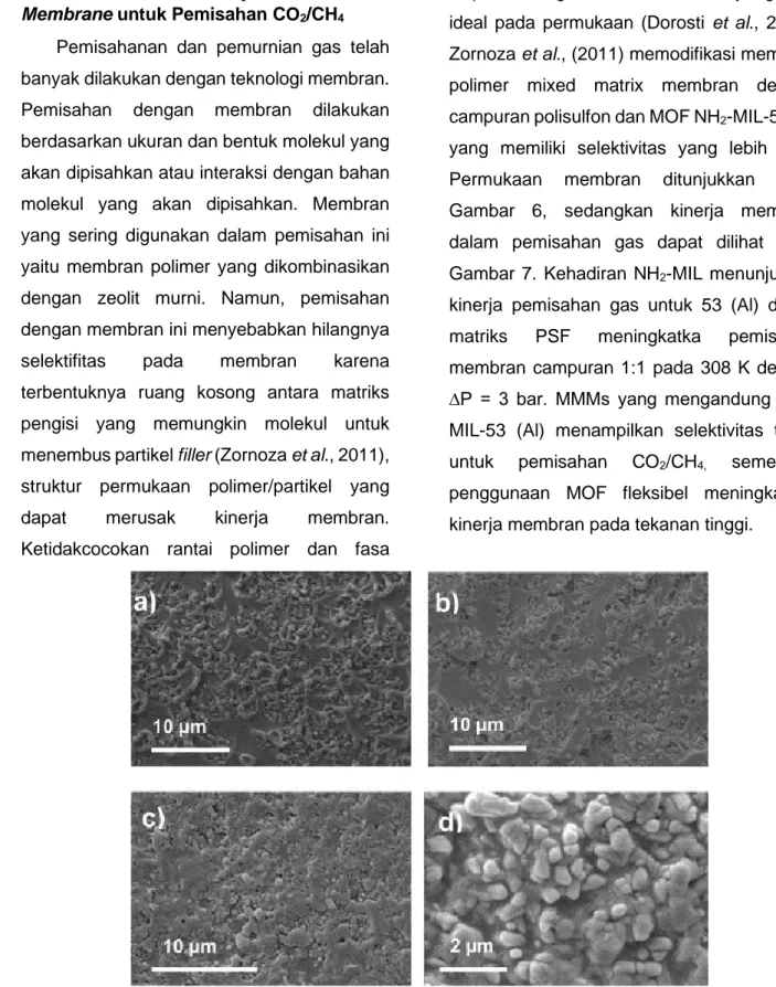 Gambar 6. SEM micrographs MMMs cross-sections dengan perbandingan berat 8 (a), 16 (b), 25 (c) 