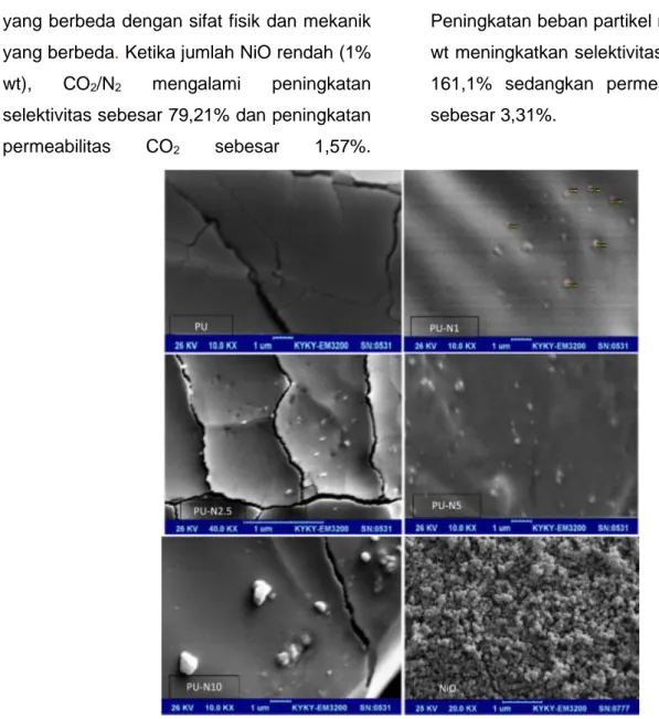 Gambar  9.  SEM  cross-section  dari  PU,  NiO  nanopartikel,  dan  PU-NiO  MMMs  dengan  variasi 