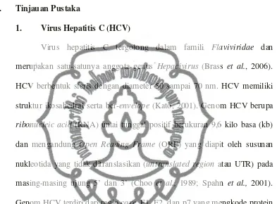 Gambar 1. Struktur Genom Virus Hepatitis C (Kato, 2001). 