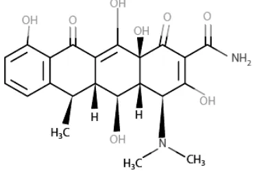 Gambar 2.3. Struktur Kimia Doksisiklin. 10 