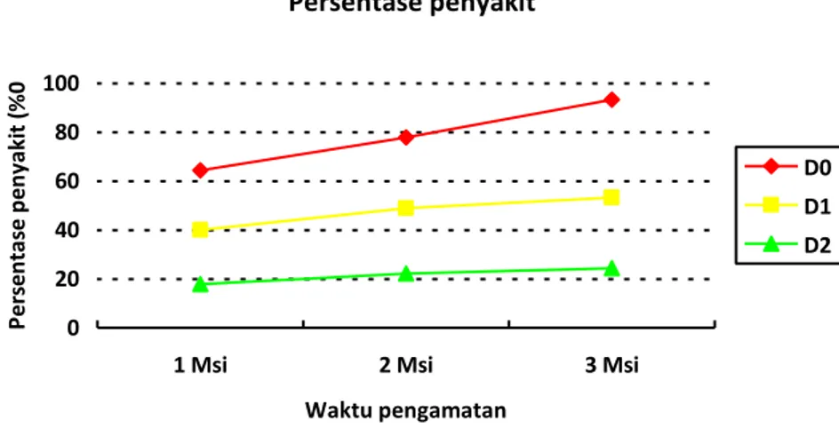 Gambar 2. Perkembangan persentase  penyakit akar gada pada tanaman                       sawi setelah inokulasi beberapa dosis isolat Trichoderma spp  