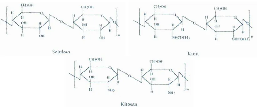 Gambar 2.1 Struktur Selulosa, Kitin, dan Kitosan 