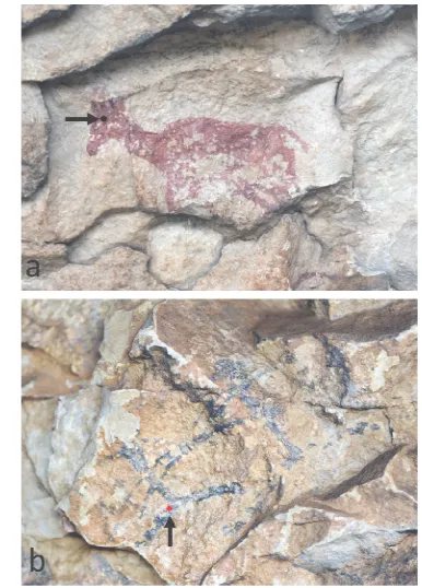 Figure 4. MFS setup used to evaluate the light stability of pigments in Cova Remígia  