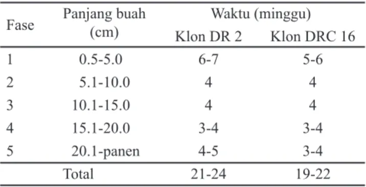 Tabel 2 menunjukkan bahwa pertumbuhan lingkar buah  sangat progresif dibandingkan dengan penambahan panjang  dan  diamater  buah