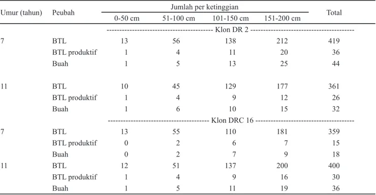 Tabel 5.  Persentase kehilangan pada setiap fase perkembangan buah kakao klon DR 2 dan DRC 16 di Kebun Renteng,  Jember, Jawa Timur