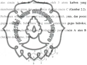 Gambar 2.2. Struktur Dasar Flavonoid 