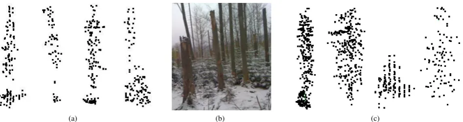 Figure 1: Examples of ALS point clouds of dead trunks (a) and other forest structures (c)