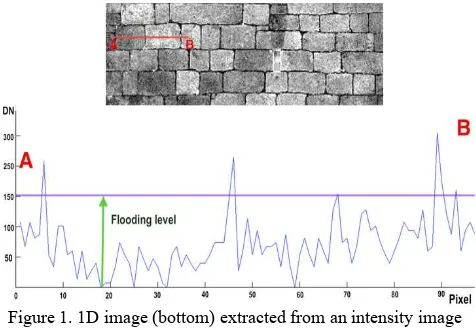 Figure 1. 1D image (bottom) extracted from an intensity image 