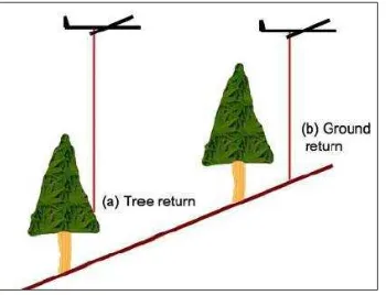 Figure 3. Photographs taken over study area covered with rubber trees (a) and (b) with understorey vegetation (c) mixed forest  