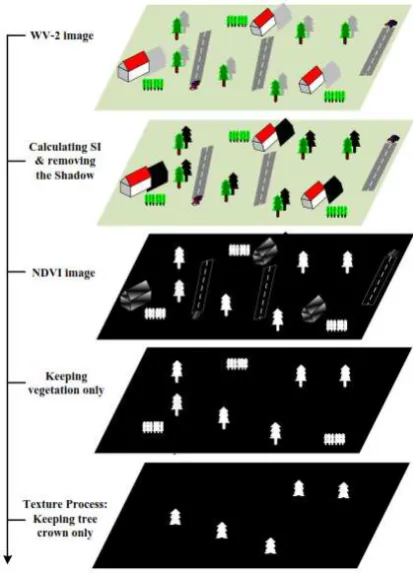 Figure 3 presents a diagram of the IO identification and mapping workflow.  