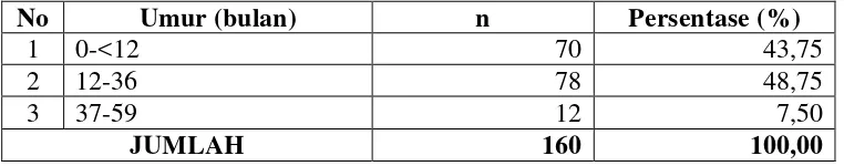 Tabel 4.1. Distribusi Umur Balita Penderita Diare di RSIA Badrul Aini Medan Tahun 2009-2010 