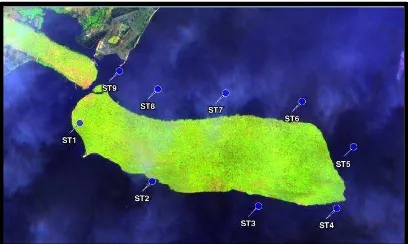 Figure 1.  Field Measurements Locations at  Water   Poteran Island   