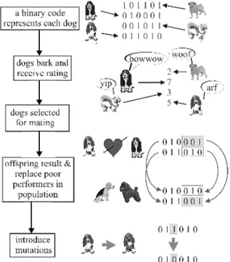Gambar 2.9  Analogi Algoritm Genetik dengan variabel biner  (Haupt and Haupt, 2004) 