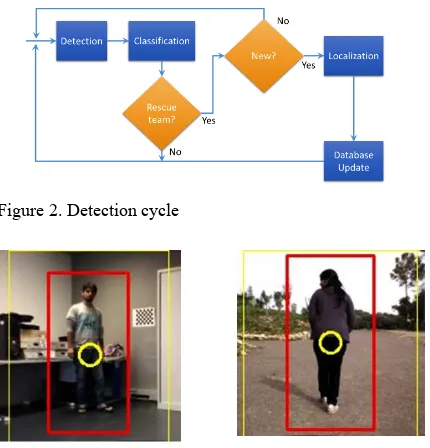 Figure 2. Detection cycle 