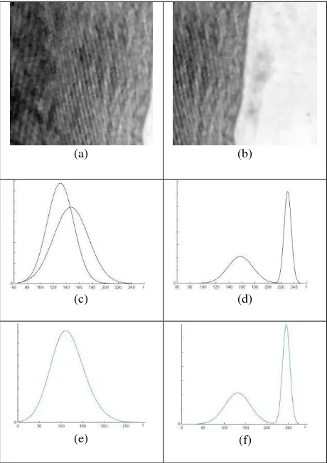Figure 3. Blocks reflecting various cases of the bimodality procedure: (a) a block that contains mostly sea area, (b) a block that contains coastline area, (c), (d) presents the two Gaussian distributions modelling the distribution of the first and second 