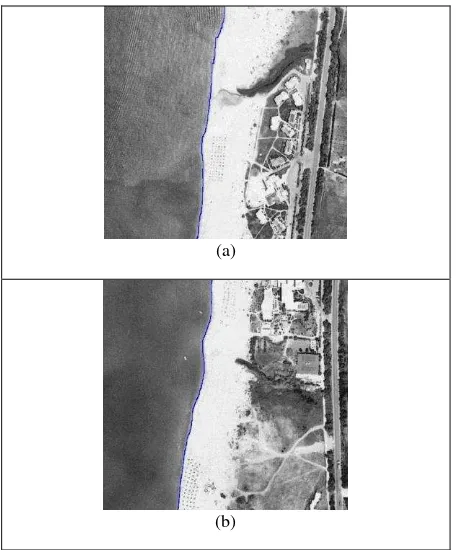 Figure 4. Results of post-processing: (a) image after concatenation of binary blocks, (b) image after removing objects out of the area of interest and filling blank spaces at land area