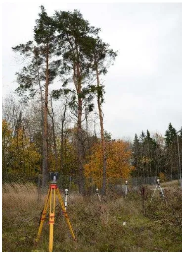 Figure 2. A separation of two images taken a minute apart under 9 m/s wind conditions, showing the increase in deformation towards top of the tree crown