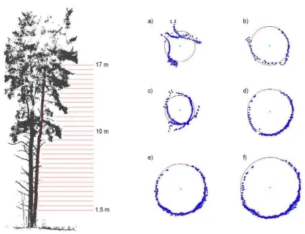 Figure 3. Left: The measured pine stem was segmented into 0.5 m increments. The segments are shown in red