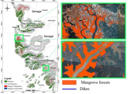 Figure 6. Changes in mangrove forests in the study area from 1988 to 2014. a) Changes in 1988-2001, b) Changes in 2001-2014, and c) Changes in 1988-2014