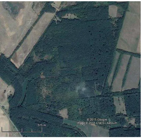 Figure 1. Satellite image overview of the study area. © Google 