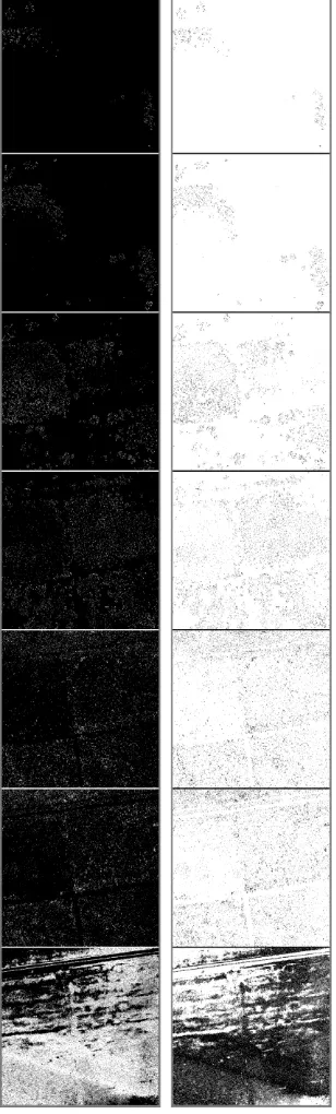 Figure 2. Voxel layer as binary images (left panels: original; right panels: inverted images for better visualization)