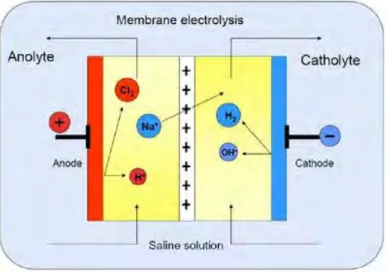 Gambar II.2 Mekanisme Membrane Electrolysis 