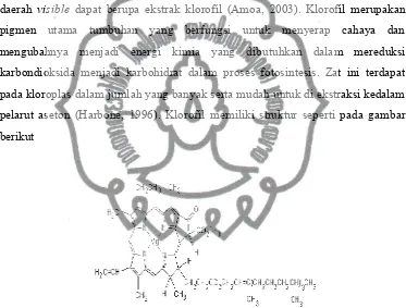 Gambar 2.4. Struktur Molekuler Klorofil (Shakhashiri, 2010)
