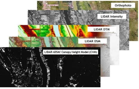 Figure 4. The different LiDAR derivatives and Orthophoto used. 