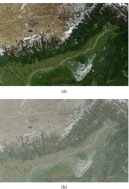Figure 5: The MODIS imagery before and after data Gaussian-ization.
