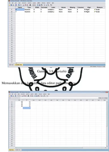 Gambar 3.9. Variable View 