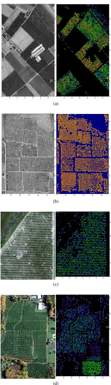 Figure 2: Results of the tree counting algorithm for the four testimages: a) Grenoble, b) Juazeiro, c) Citrus Grove, d) Southing-ton
