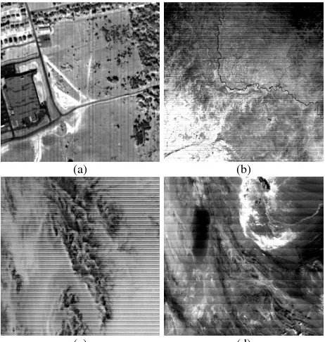 Fig 1. Experimental images: (a) HYDICE band 103; (b) Terra MODIS band 30; (c) Terra MODIS band 27; and (d) Terra MODIS band 9