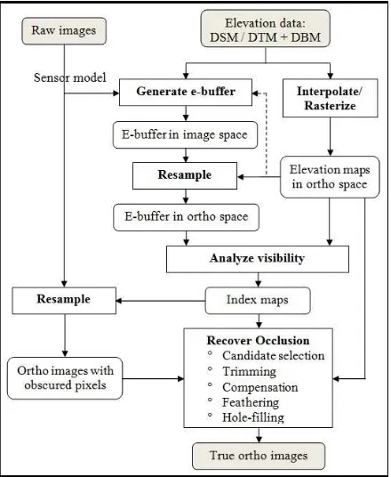 Figure 1. The overall workflow for true ortho generation 