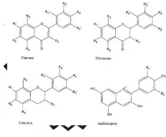 Gambar 1. Struktur Kimia Flavonoid  