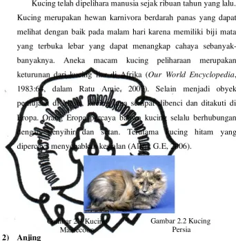 Gambar 2.2 Kucing   