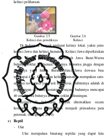 Gambar 2.5  Gambar 2.6 