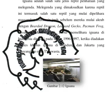 Gambar 2.12 Iguana 