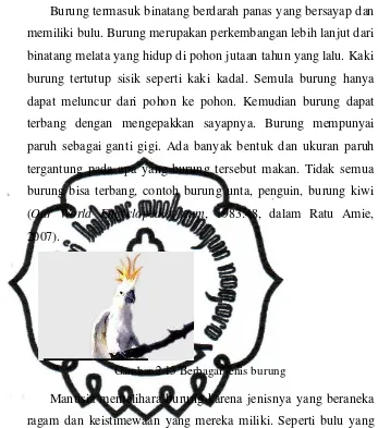 Gambar 2.13 Berbagai jenis burung 