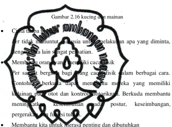 Gambar 2.16 kucing dan mainan 