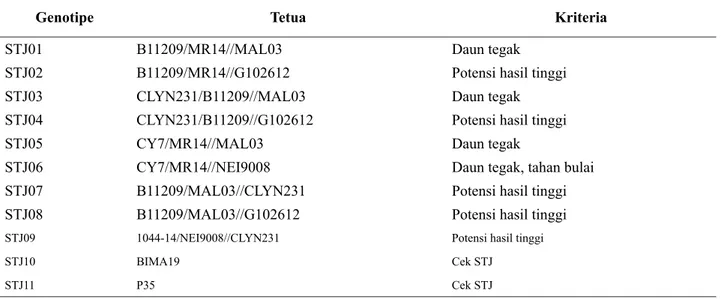 Tabel 1. Daftar materi genotipe yang diuji