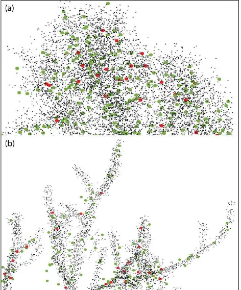 Figure 7. (a) Tree with dense crown structure; (b) Tree sample 